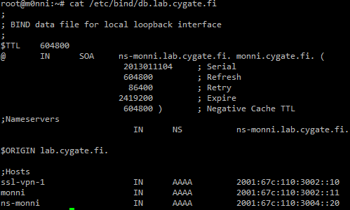 29 Kuva 22. Bind-nimipalvelimen IPv6-tietueiden konfigurointi. Nimipalvelun asennuksen ja tietueiden lisäämisen jälkeen yhteyttä yritettiin jälleen.