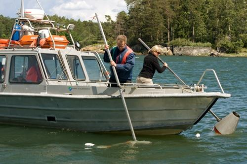 varhaisvaiheiden esiintymisen