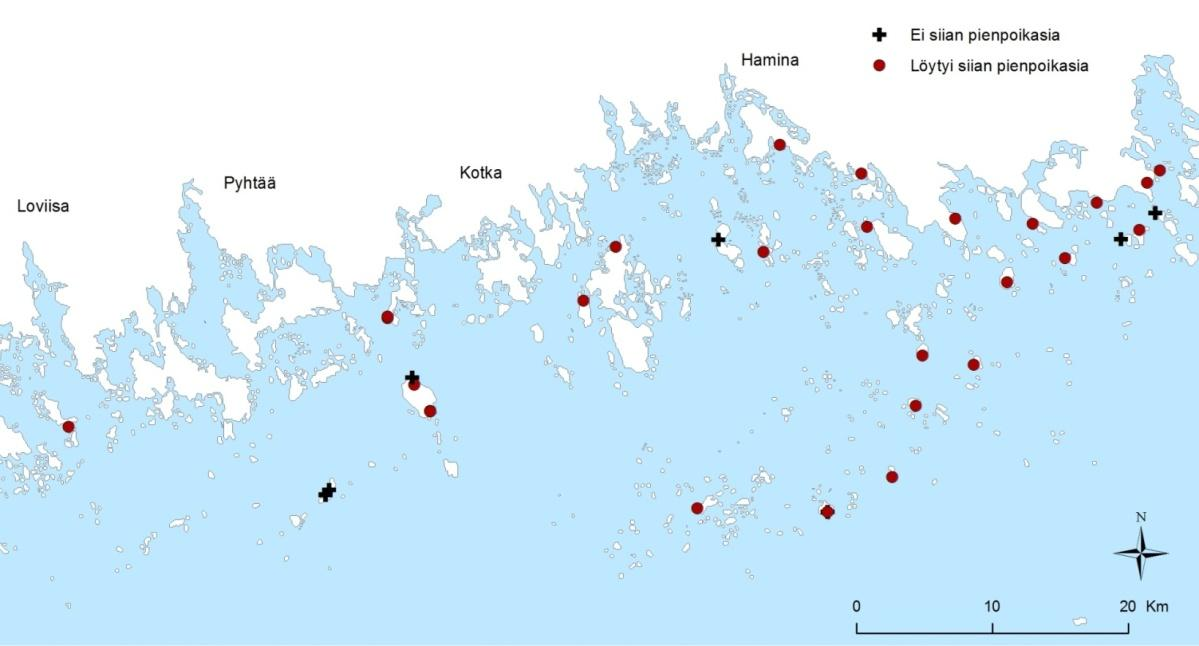 Suomenlahdelta, mallinnus kesken Myös