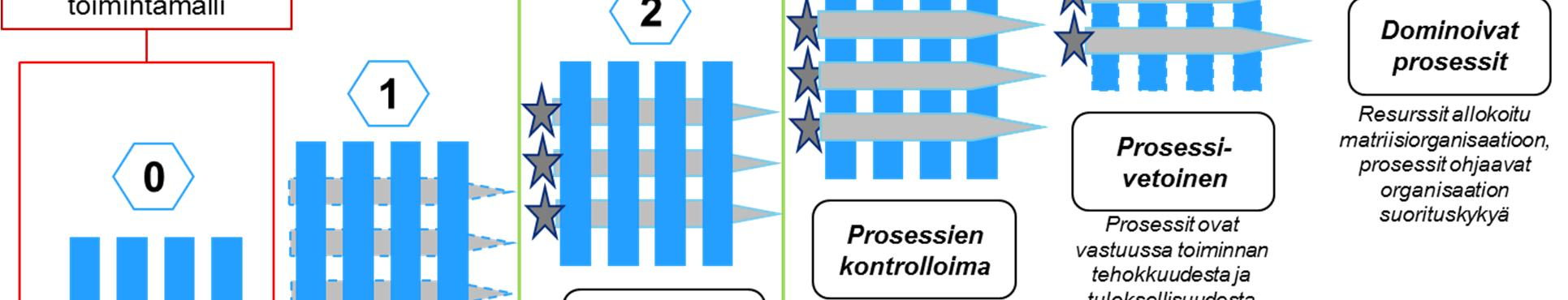 Sairaala on kuitenkin toimintaympäristönä niin monimutkainen, että puhdasta prosessiorganisaatiota ei voida pitää tarkoituksenmukaisena tai mahdollisena. Kuva 2.