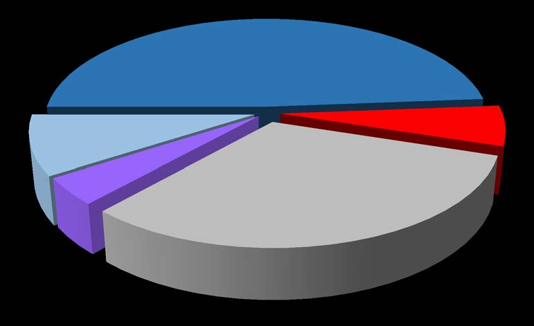 Myrkytyspuhelut Puhelut jaotellaan myrkytyspuheluiksi (80%) ja yleiskyselyiksi (20%)