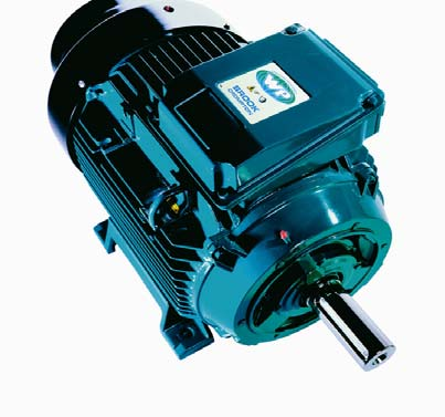 WP-DF132MVX-6 01F0613C 2 310 2 470 7,5 WP-DF160MM-6 01F0616A 3 030 3 240 11 WP-DF160LV-6 01F0616B 3 860 4 130 15 WP-DF180LR-6 01F0618A 4 750 5 080 18,5 WP-UDF200LNX-6 01F0620A 5 740 6 140 22