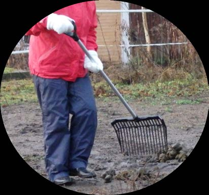 11 7. Hoivamaatilatoiminnan suunnittelu Toimintapäivien sisältö on hyvä suunnitella yhdessä kuntoutujien ja heidän ohjaajiensa kanssa. Hyvä ryhmäkoko toimintapäiville on kolmesta viiteen kuntoutujaa.