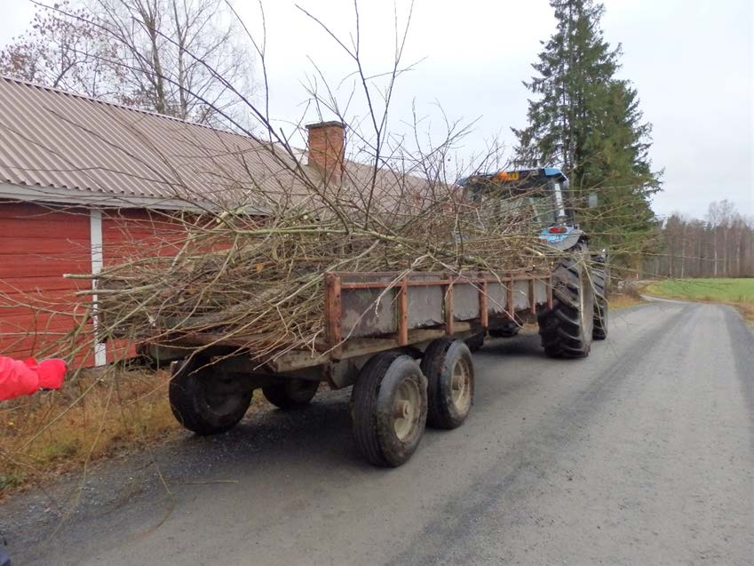 16 8c. Virkistyspäivät Kuntouttavan ja tavoitteellisen toiminnan lisäksi voidaan järjestää rutiineja rikkovia virkistyspäiviä. Virkistyspäivien ohjelma lähtee kuntoutujien mielenkiinnon kohteista.