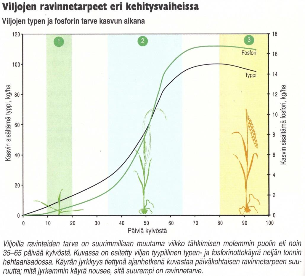 Kuva 3. Viljojen ravinnetarpeet eri kehitysvaiheessa (Ravinteet kasvintuotannossa 2009, 26.