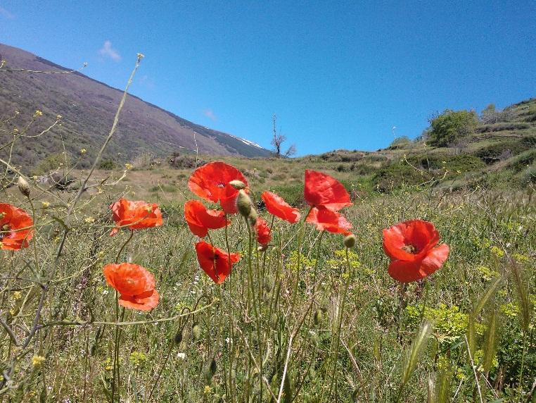 Las Torcas (Granada) Sierra Nevadan rinteillä kansallispuiston tuntumassa.