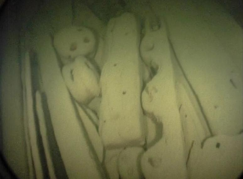 Puunäyte in situ hylyn kansitasossa (kuva otettu videosta May200117:211, kohdassa 21:06, kohteen nosto dokumentoitu videokuvaamalla).