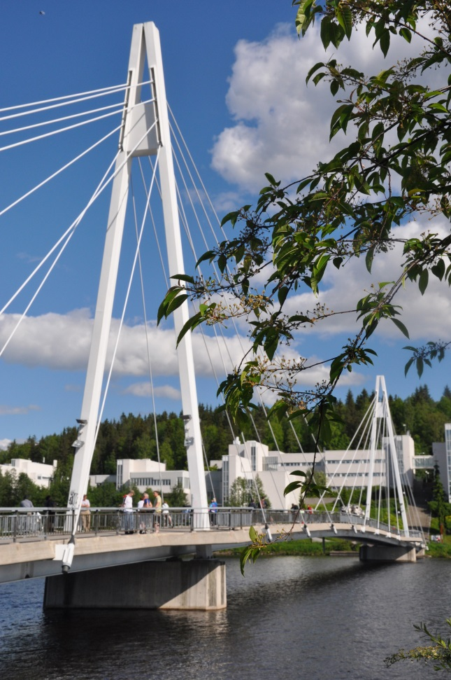 Sisältö Ohjausasiakirja Tohtoriopiskelijan, ohjaajan ja seurantaryhmän tehtävät Väitöskirjavaatimukset Jyväskylän yliopistossa Tarkentava ohje