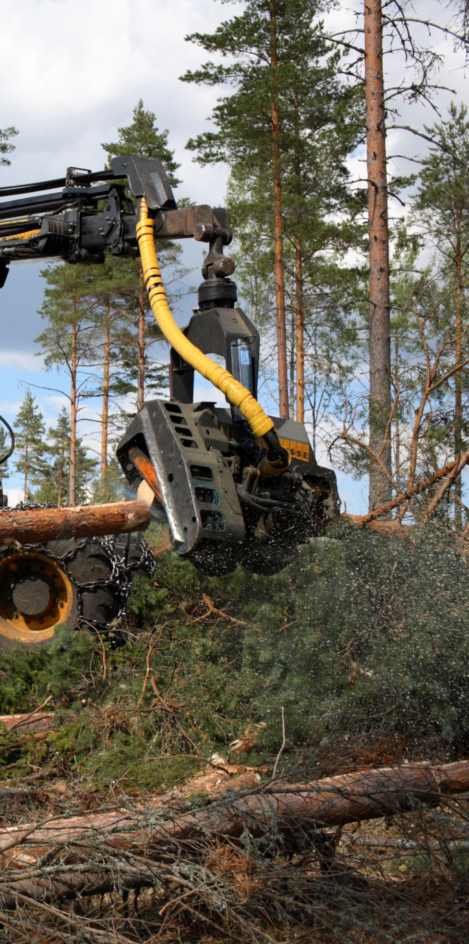 Puulla on kysyntää Puukauppa käy hyvin Metsäteollisuus osti kevätkaudella puuta yksityismetsistä n. 25 milj.