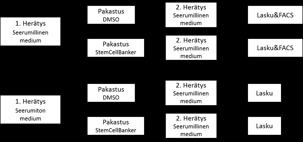 28 4.4 Pakastusliuoskokeiden suoritus 4.4.1 Pakastusliuos hasc-soluille Kuviossa 1 on pakastusliuoskokeiden suoritus kaaviokuvana.