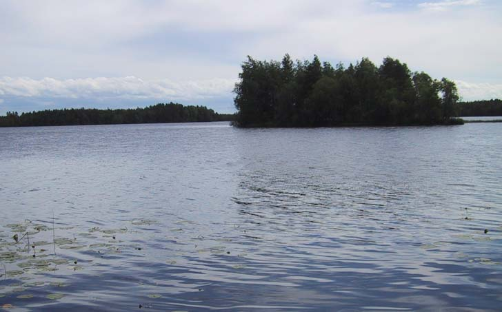 Järvellä tavataan satunnaisia levähaittoja, veden laatu (käyttökelpoisuus) on tyydyttävä.