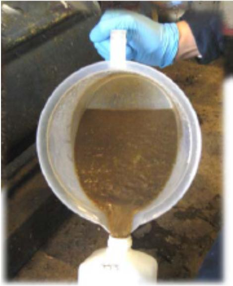 10 Jätevedet levien kasvatukseen Biokaasun rejektivesi (Biovakka) Kalanhautomon jätevesi (Sybimar) Osittain puhdistettu Kompostiprosessin kierrätysvesi (Kujalan