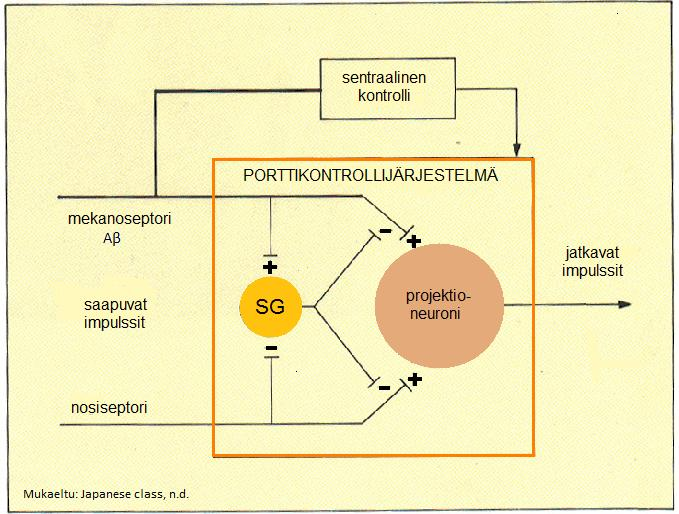 17 KUVIO 2. Porttikontrollijärjestelmän toiminta 4.