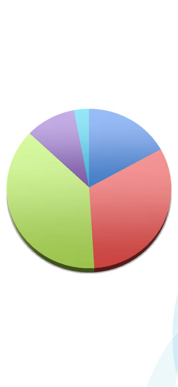 Rahoitetut hankkeet Vuoden 2011 loppuun mennessä rahoituspäätöksen saanut 121 hanketta (2/3 hakemuksista) Kehittämisrahaston rahoitusosuus 1-50 % hankkeen koko budjetista