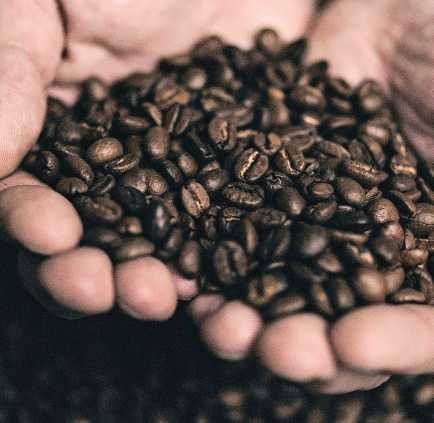 PAAHTOASTE 5. myyntierä: 10 x 500 g = 5 kg tuotekoodi: 16700 ROBERT PAULIG AFTER DARK ESPRESSO PAPU Samettinen ja pehmeä espresso, jossa häivähdys tummaa suklaata. PAAHTOASTE 4.