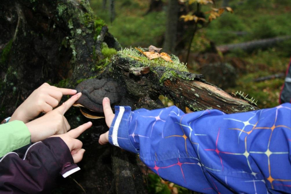 27 Suunnittelu konkretisoituu oppimista sitouttavaan