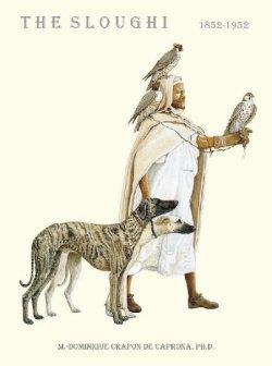Sloughi, FCI 188 Alkuperämaa Marokko KÄYTTÖTARKOITUS: Näkönsä avulla metsästävä koira. LYHYT HISTORIAOSUUS: Slougheja on ollut Pohjois- Afrikassa jo vuosisatojen ajan.