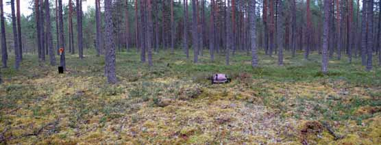 11 Huoneilla on syvyyttä noin 1,5 metriä.