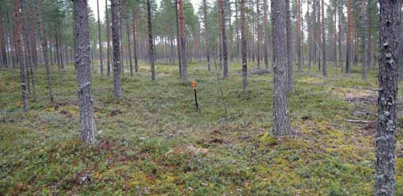 6 Painanteen 2 keskelle tehdystä koepistosta ei tehty löytöjä, mutta luontaisesti kivettömän hiekan seassa oli muutama palanut kivi.