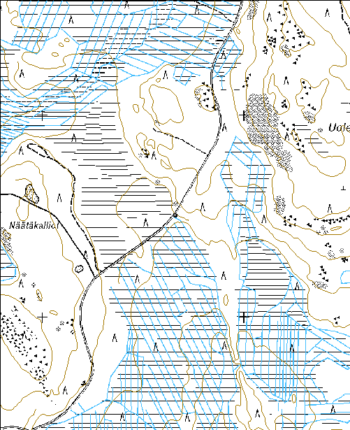 342 Kohdetyyppi: 13 Liikennekohteet Copyright: Metsähallitus 2008