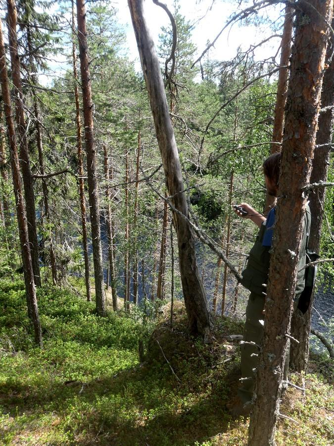 223 Olotila: Arvotus: 8 Muu suojeluarvo Kohteen 2 Ei käytössä 9 Muu