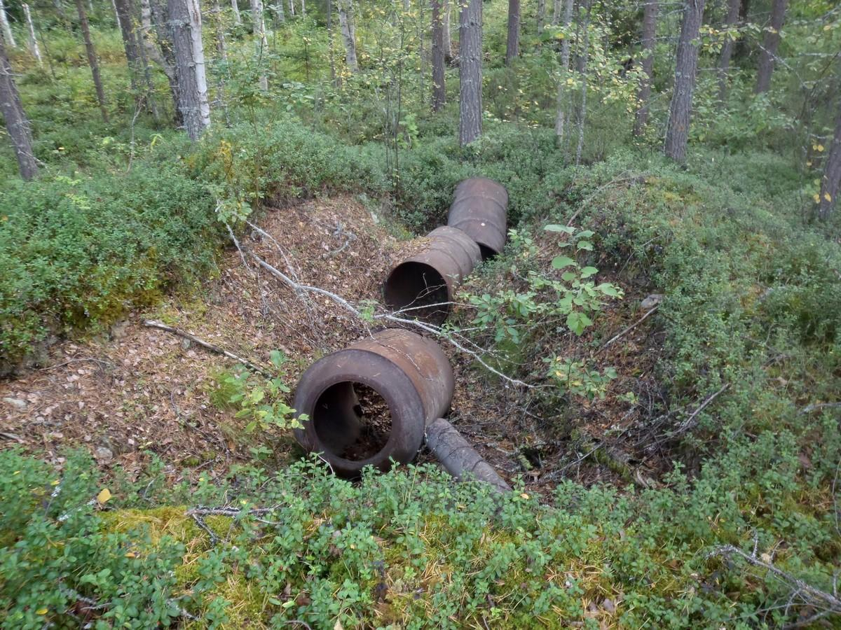 pohja pohjoisesta.