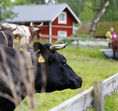 proagria.fi/lansi Tapahtumat maajakotitalousnaiset.