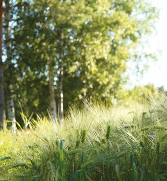 Etelä-Suomen ja Länsi-Suomen yhteinen asiakas- ja jäsenlehti, joka