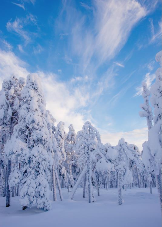 Myös päihdeongelmaisella on oikeus hyvään kivunhoitoon!