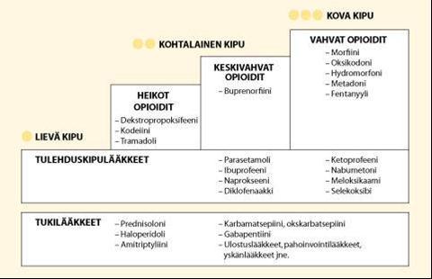 6.7 PCA kipupumppu PCA (Patient Controlled Analgesia) on mekaaninen infuusiokipupumppu, jolla kipulääkettä tai puudutetta voidaan annostella ihon alle, laskimoon, epiduraali- tai subaraknoidi tilaan.