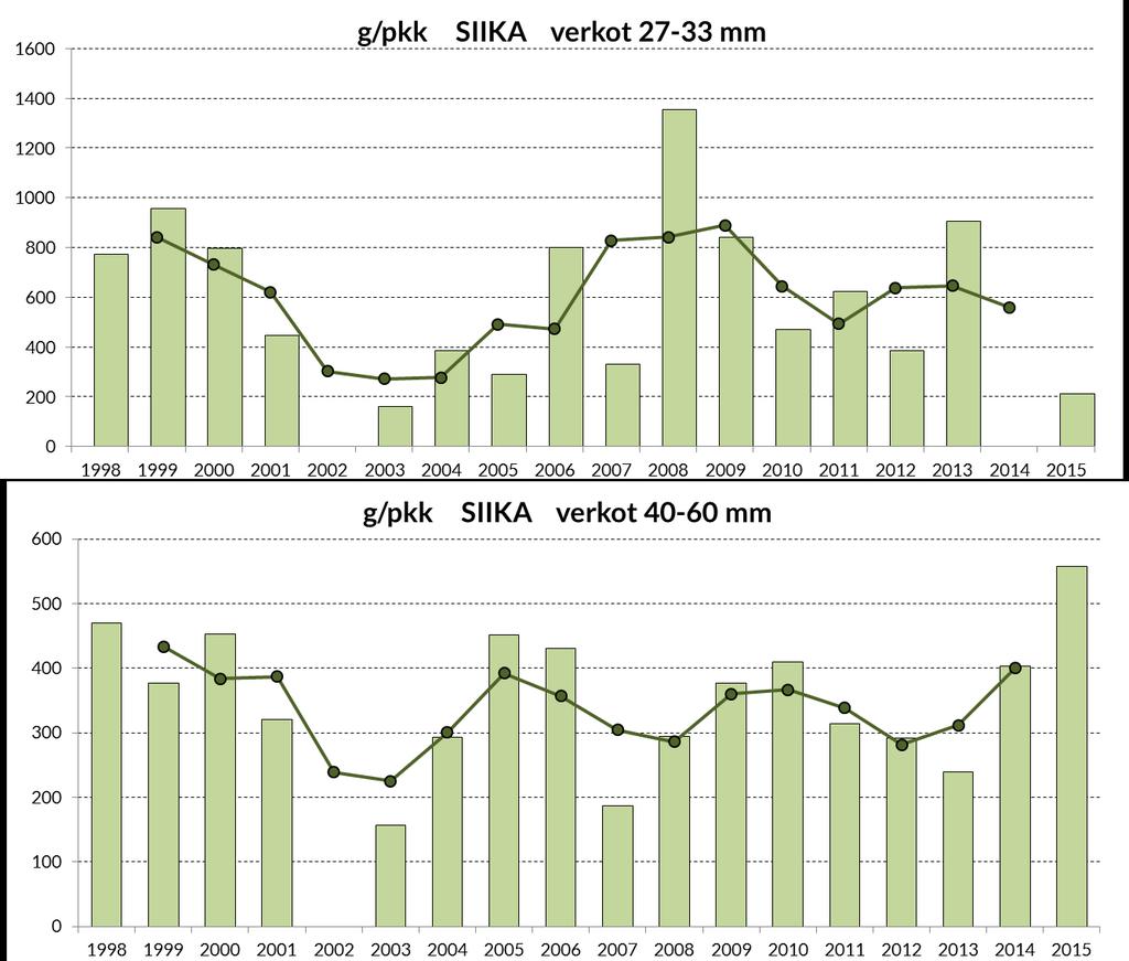 OSA III: Kalataloustarkkailu Harvoilla verkoilla saatu siikasaalis on ollut perinteisesti tiheämpiin verkkoihin nähden pienempi, mutta vuonna 2015 harvojen verkkojen siikasaalis oli tiheitä verkkoja