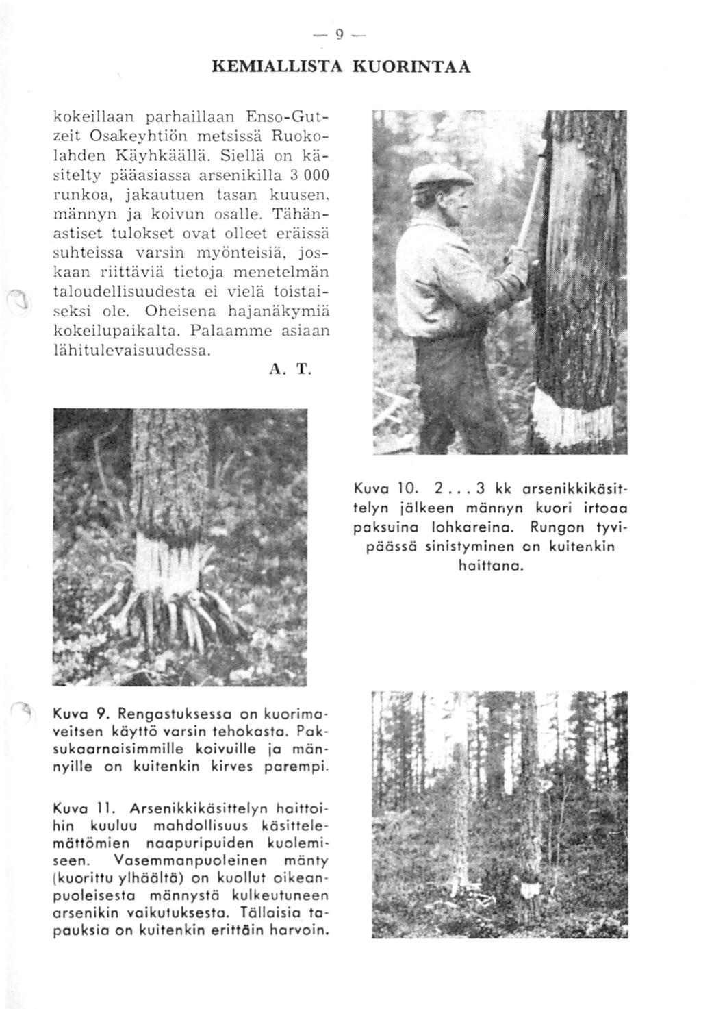 - 9 - KEMIALLISTA KUORINTAA kokeillaan parhaillaan Enso- Gutzeit Osakeyhtiön metsissä Ruokolahden K äyhkäällä.