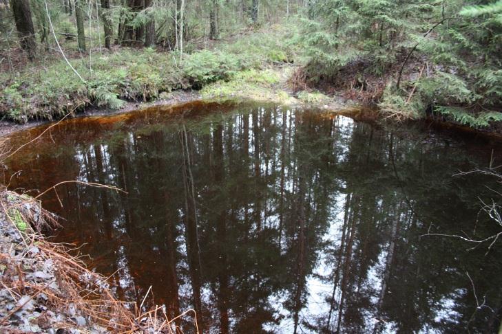 SUOJELUSUUNNITELMA 12 Pienialaisia orsivesimäisesti ympäristöään ylemmälle tasolle pidättyneitä