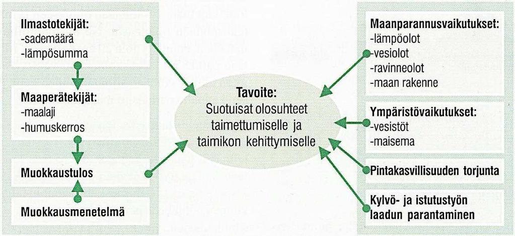 1.1.3 Maanmuokkaus kuusen uudistusaloilla Maanmuokkaus sekä maanpinnan käsittely kuuluvat oleellisena osana laadukkaaseen metsänuudistamisketjuun.