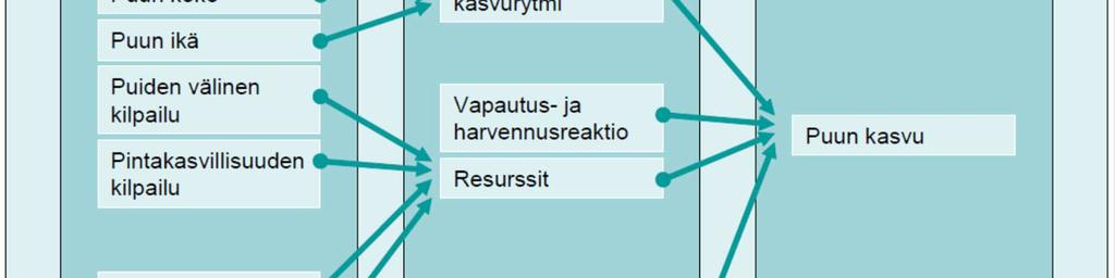 Puun kasvuun vaikuttavat tekijät voidaan jakaa puun sisäisiin ja ulkoisiin tekijöihin.