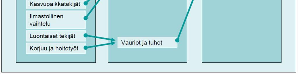 (2001) ovat lisäksi huomioineet puun syntytavan (siemen tai vesa) (kuva 3), joka myös vaikuttaa olennaisesti puun luontaiseen kasvurytmiin.