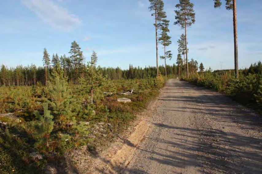 AKDG3458:1. Asuinpaikka tienlaidan äestysalueella, lännestä. Kuvaaja Petro Pesonen.