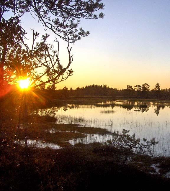 Kurikka - Teuva Joupinkangas