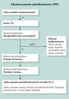 6 si peruselvytykseen kuuluvat puhallukset, joita toteutetaan aina painallusten välissä (Kuvio ).