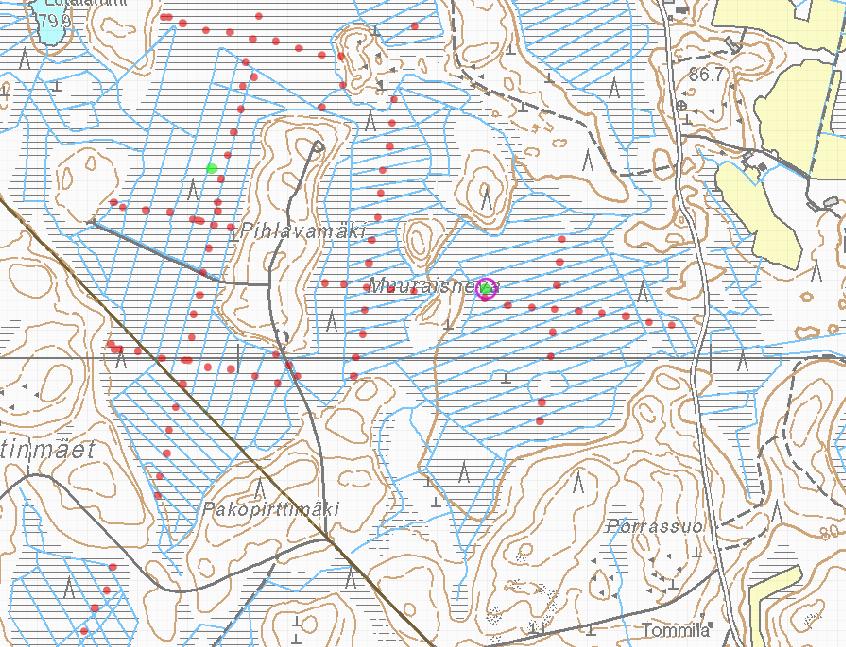 Pori (Lavia), Muuraisneva (517) GTK:n turvevarojen tilinpitoaineisto: Suon pinta-ala: 53 ha Suon kokonaisturvemäärä: 0.79 milj. suo-m3 Turvekerroksen keskipaksuus: 1.