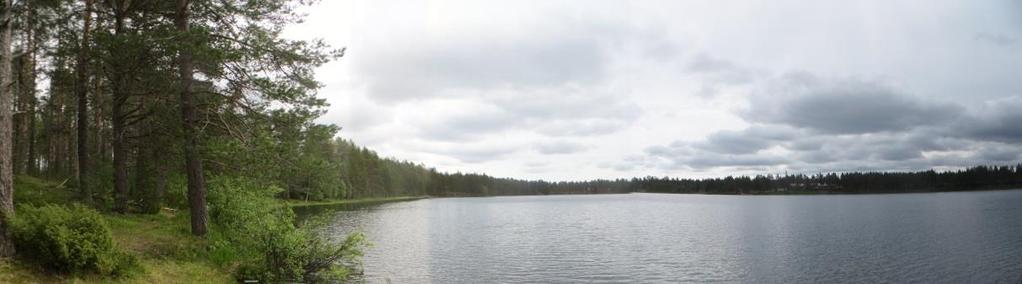 tanginjärveen asti luoteeseen. Virtaussuunnat voivat vaihdella paikallisesti huomattavasti. Pohjavesi purkautuu pääsiassa muodostumaa reunustaviin vesistöihin.