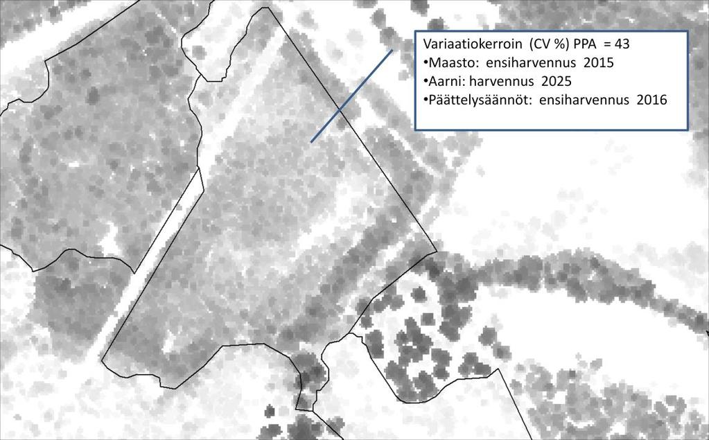 Kuva 20. CHM- kuva tyypillisestä 02 kehitysluokan kuviosta, jossa sisäinen vaihtelu on suurta ja jolla päättelysäännöillä johdettu toimenpide-ehdotus oli Aarnin laskentaa parempi.