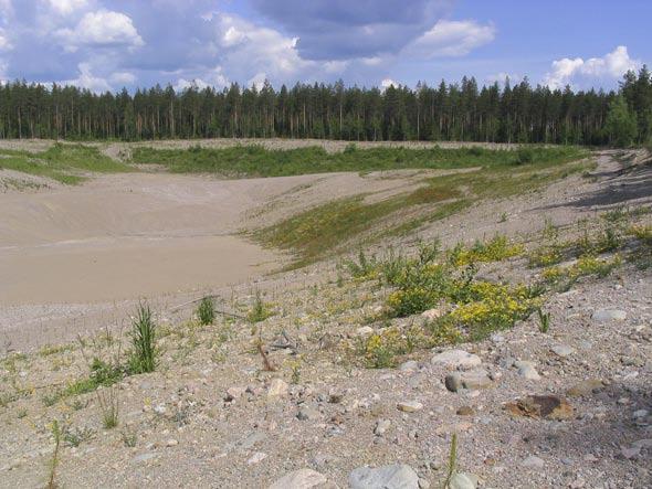 Ottoalueet 1984 HSO-alueen sisälle rajattiin kaksi rajoitetun oton aluetta, joista läntisellä alueella oli vanha ottoalue, mutta itäinen alue oli lähes luonnontilainen.