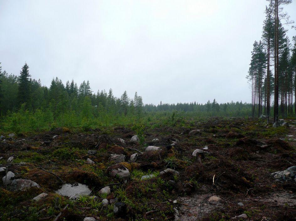 18. Kuva 4, voimalapaikka kuvattu