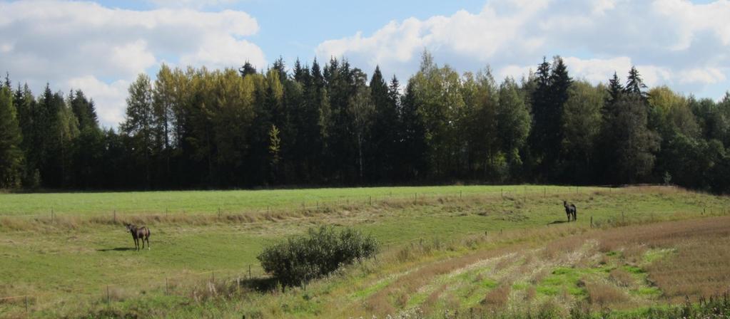 Keskinen, Johanna Nikama, Susanna Särkijärvi,