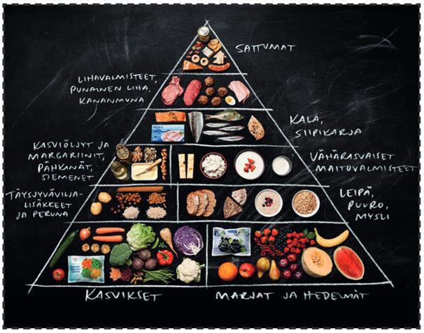 26 Kuva 1. Ruokakolmio. Valtion ravitsemusneuvottelukunta 2014, 19. Lautasmallin avulla voi helpommin hahmottaa ruokavalion kokonaisuutta yhdellä aterialla.
