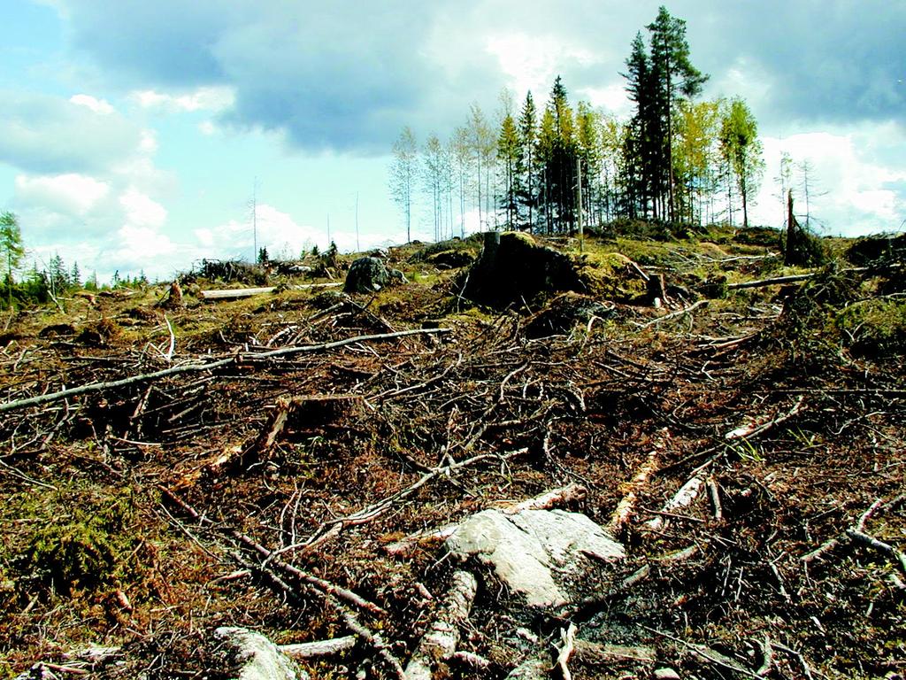 Suomen ympäristö 817 YMPÄRISTÖN SUOJELU Pekka Sillanpää, Ämer Bilaletdin, Heikki Kaipainen, Tom Frisk ja