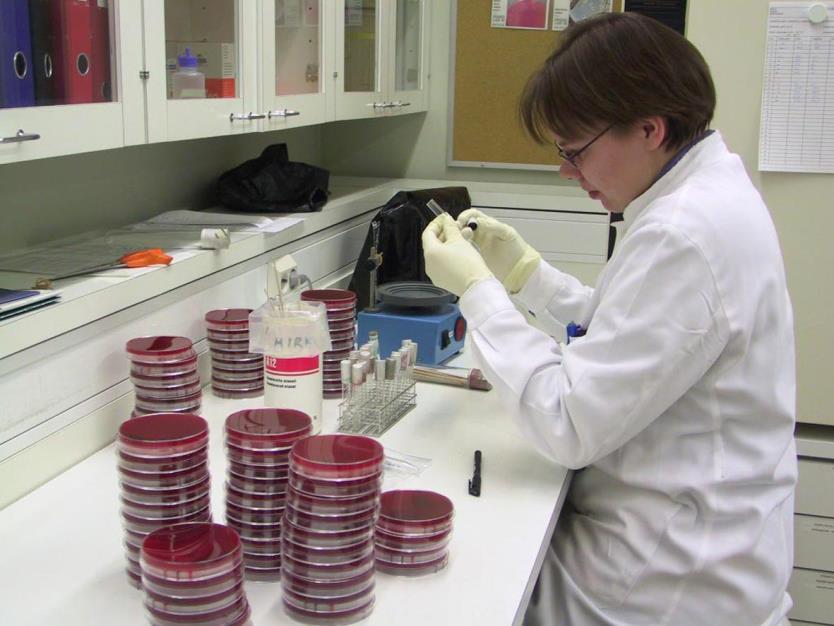 The chemical quality of hney Is measured in laboratory Chemical properties HMF = hydroksimetyylifurfuraali