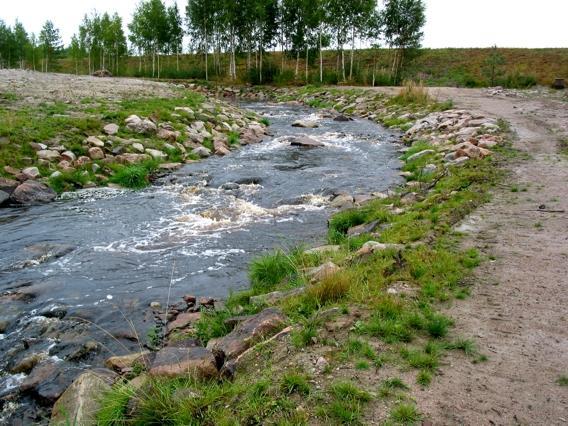 Ensimmäinen, johon tehtiin tarkoituksella myös kutusoraikkoja