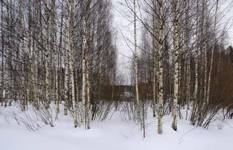 1 Mistä idea mallikosteikolle? Pohjoisen Keski-Suomen oppimiskeskuksen (POKE) luonnonvara-alalle Saarijärven Tarvaalaan perustettiin monivaikutteinen kosteikko talvella 2012.
